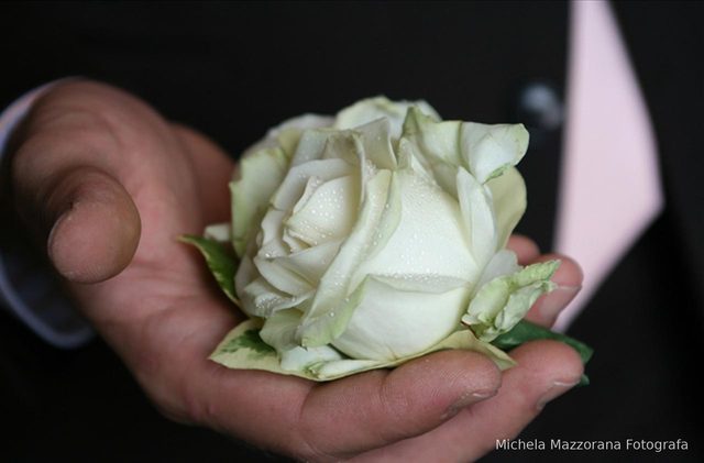 Dettaglio rosa Wedding photographer