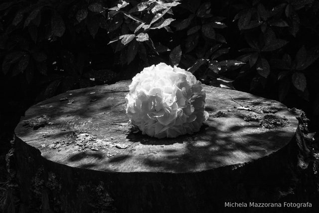 Fotografia di matrimonio di Michela Mazzorana, Visual Idea